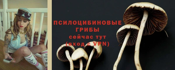 a pvp Елабуга