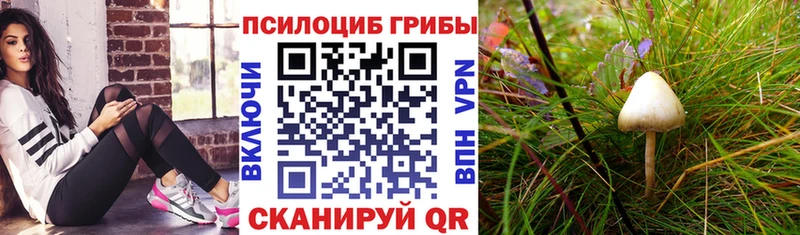 Псилоцибиновые грибы Psilocybine cubensis  мориарти формула  Зеленодольск 